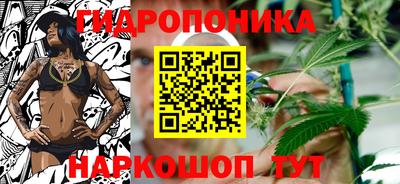 шишки Комсомольск-на-Амуре