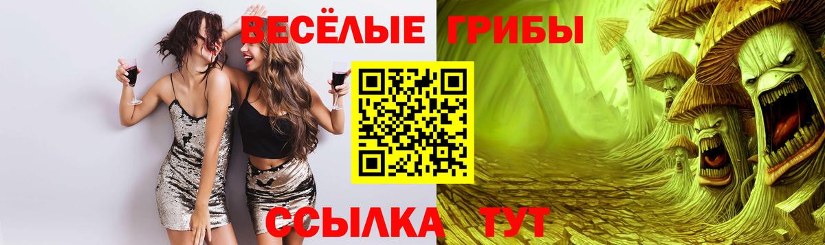 наркотики  Псилоцибиновые грибы Psilocybe  Вход с VPN  Галлюциногенные грибы Cubensis  Электрогорск 
